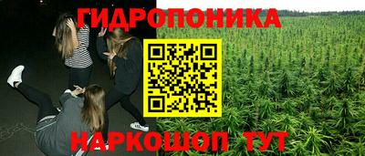 гашик Кулебаки