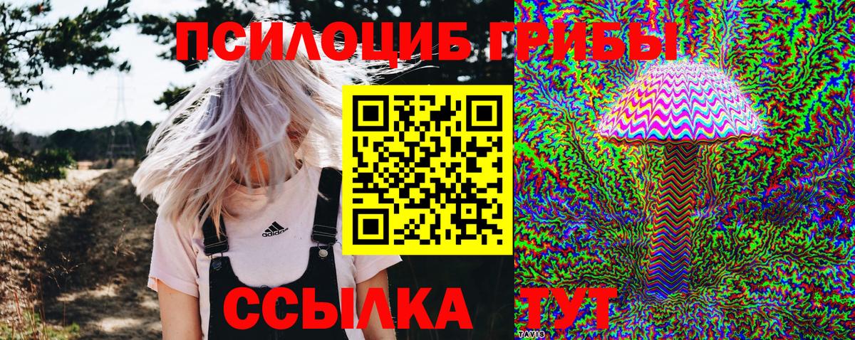 Галлюциногенные грибы Psilocybine cubensis Ялта