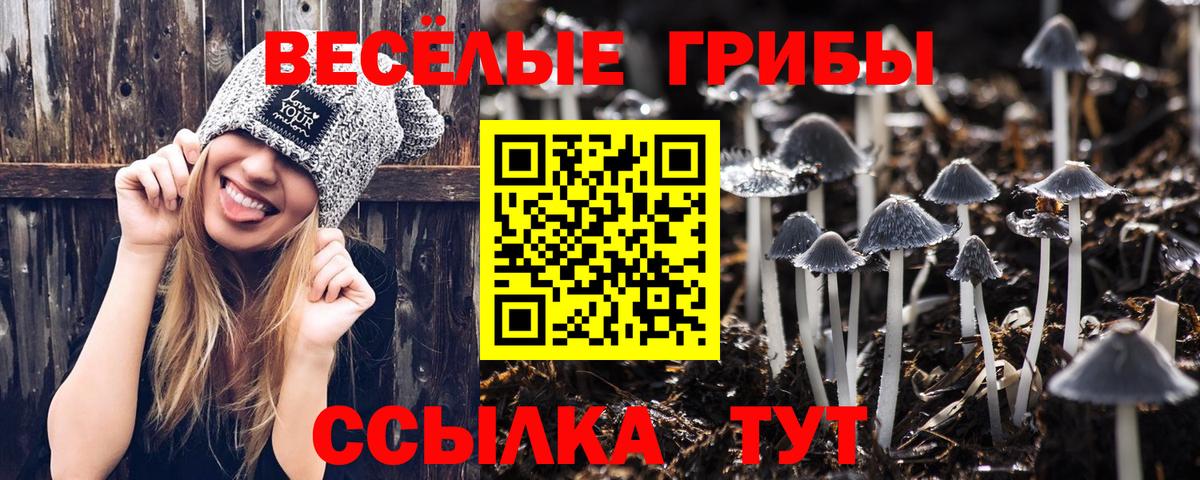 Псилоцибиновые грибы мухоморы  Вход с VPN  Ялта  Псилоцибиновые грибы MAGIC MUSHROOMS 